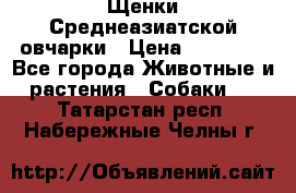 Щенки Среднеазиатской овчарки › Цена ­ 30 000 - Все города Животные и растения » Собаки   . Татарстан респ.,Набережные Челны г.